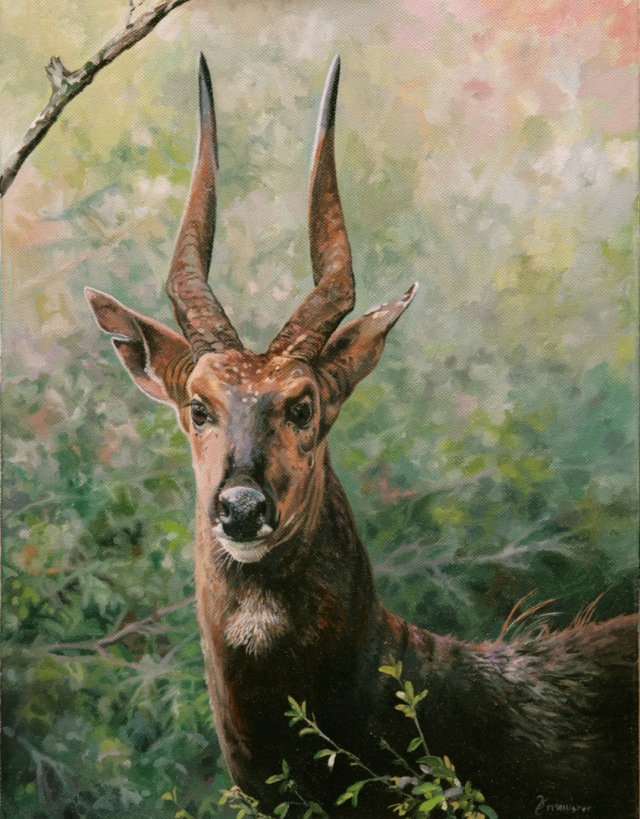 Painting of a Bushbuck