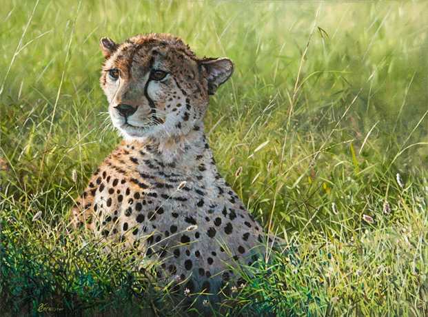 Oil painting of a cheetah 